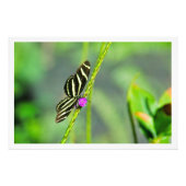 Fotouitbreiding Foto Afdruk (Voorkant)