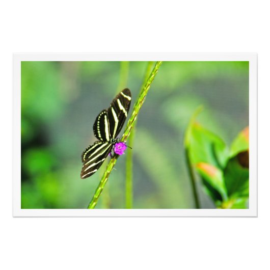 Fotouitbreiding Foto Afdruk (Voorkant)