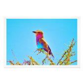 Fotouitbreiding Foto Afdruk (Voorkant)