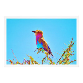 Fotouitbreiding Foto Afdruk