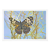 Fotouitbreiding Foto Afdruk (Voorkant)