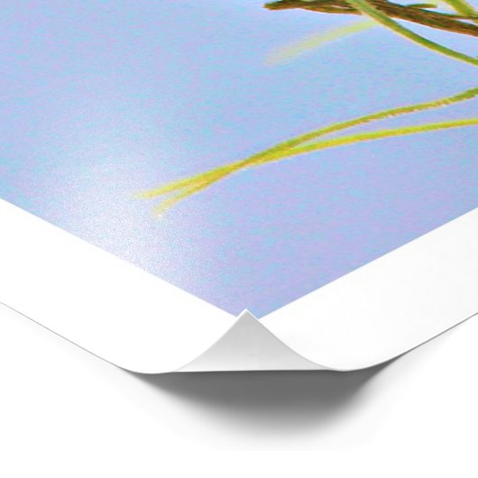 Fotouitbreiding Foto Afdruk (Hoek)