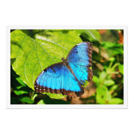 Fotouitbreiding Foto Afdruk