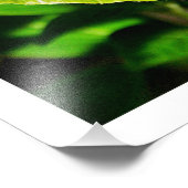 Fotouitbreiding Foto Afdruk (Hoek)