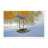 Fotouitbreiding Foto Afdruk (Voorkant)