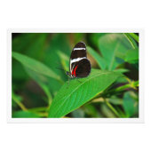 Fotouitbreiding Foto Afdruk (Voorkant)