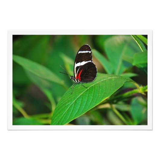 Fotouitbreiding Foto Afdruk (Voorkant)