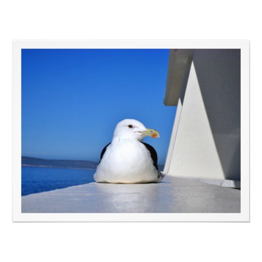 Fotouitbreiding Foto Afdruk (Voorkant)