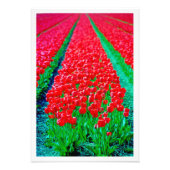 Fotouitbreiding Foto Afdruk (Voorkant)