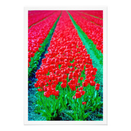 Fotouitbreiding Foto Afdruk