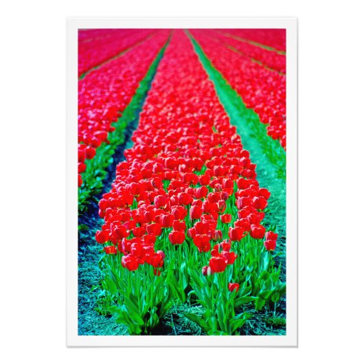 Fotouitbreiding Foto Afdruk (Voorkant)