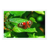 Fotouitbreiding Foto Afdruk (Voorkant)