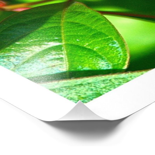 Fotouitbreiding Foto Afdruk (Hoek)