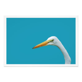 Fotouitbreiding Foto Afdruk