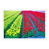 Fotouitbreiding Foto Afdruk (Voorkant)