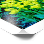 Fotouitbreiding Foto Afdruk (Hoek)