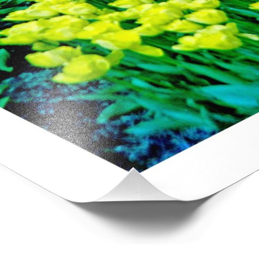 Fotouitbreiding Foto Afdruk (Hoek)