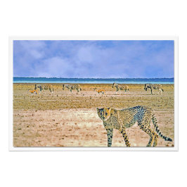 Fotouitbreiding Foto Afdruk