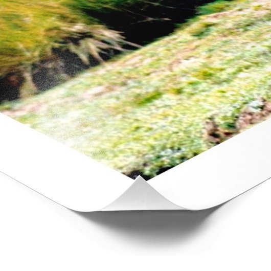 Fotouitbreiding Foto Afdruk (Hoek)