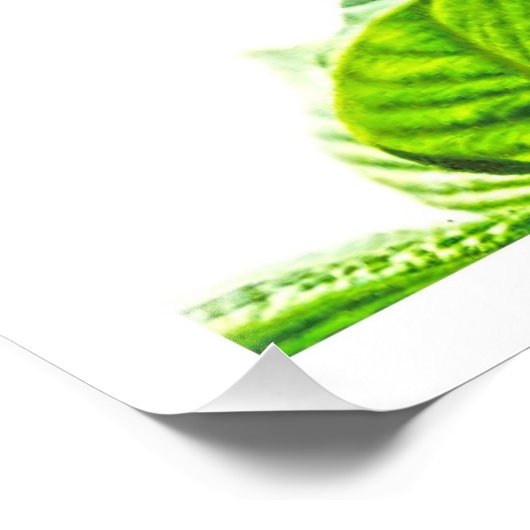 Fotouitbreiding Foto Afdruk (Hoek)