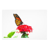 Fotouitbreiding Foto Afdruk (Voorkant)