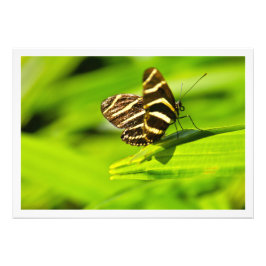 Fotouitbreiding Foto Afdruk