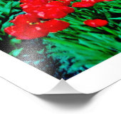 Fotouitbreiding Foto Afdruk (Hoek)