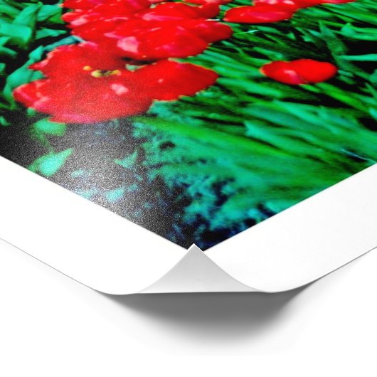 Fotouitbreiding Foto Afdruk (Hoek)