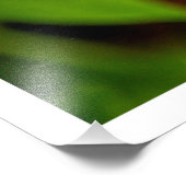 Fotouitbreiding Foto Afdruk (Hoek)