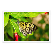 Fotouitbreiding Foto Afdruk (Voorkant)