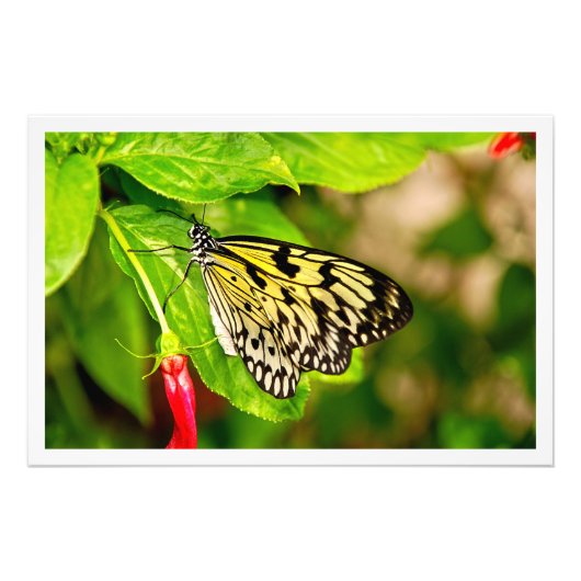 Fotouitbreiding Foto Afdruk (Voorkant)