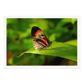 Fotouitbreiding Foto Afdruk (Voorkant)