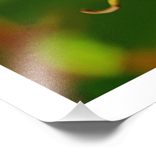 Fotouitbreiding Foto Afdruk (Hoek)