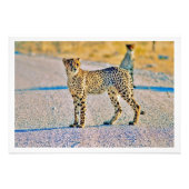 Fotouitbreiding Foto Afdruk (Voorkant)