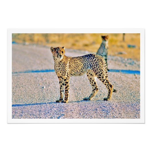 Fotouitbreiding Foto Afdruk (Voorkant)