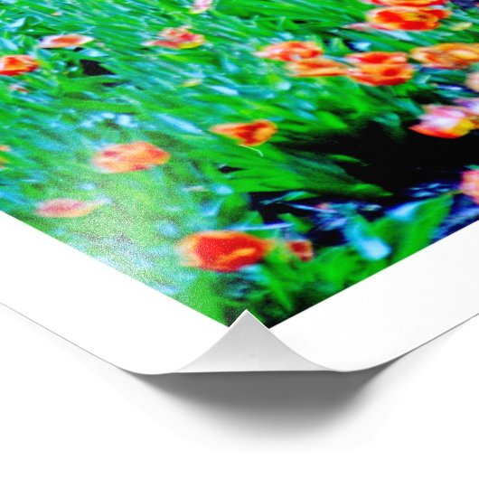 Fotouitbreiding Foto Afdruk (Hoek)