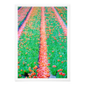 Fotouitbreiding Foto Afdruk (Voorkant)