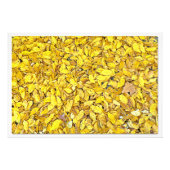 Fotouitbreiding Foto Afdruk (Voorkant)