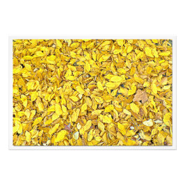 Fotouitbreiding Foto Afdruk