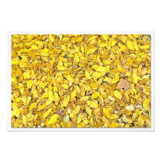 Fotouitbreiding Foto Afdruk (Voorkant)