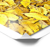 Fotouitbreiding Foto Afdruk (Hoek)