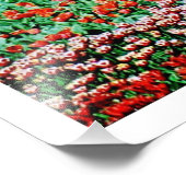 Fotouitbreiding Foto Afdruk (Hoek)