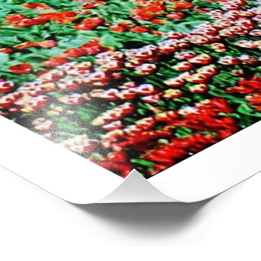 Fotouitbreiding Foto Afdruk (Hoek)