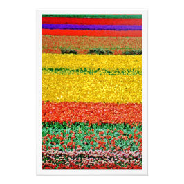 Fotouitbreiding Foto Afdruk