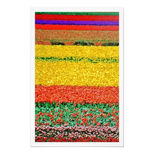 Fotouitbreiding Foto Afdruk (Voorkant)