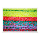 Fotouitbreiding Foto Afdruk (Voorkant)