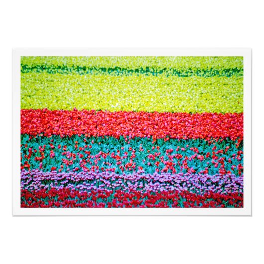 Fotouitbreiding Foto Afdruk (Voorkant)