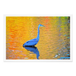 Fotouitbreiding Foto Afdruk