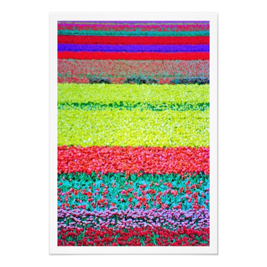 Fotouitbreiding Foto Afdruk (Voorkant)