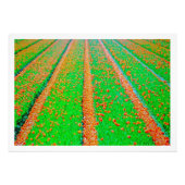 Fotouitbreiding Foto Afdruk (Voorkant)